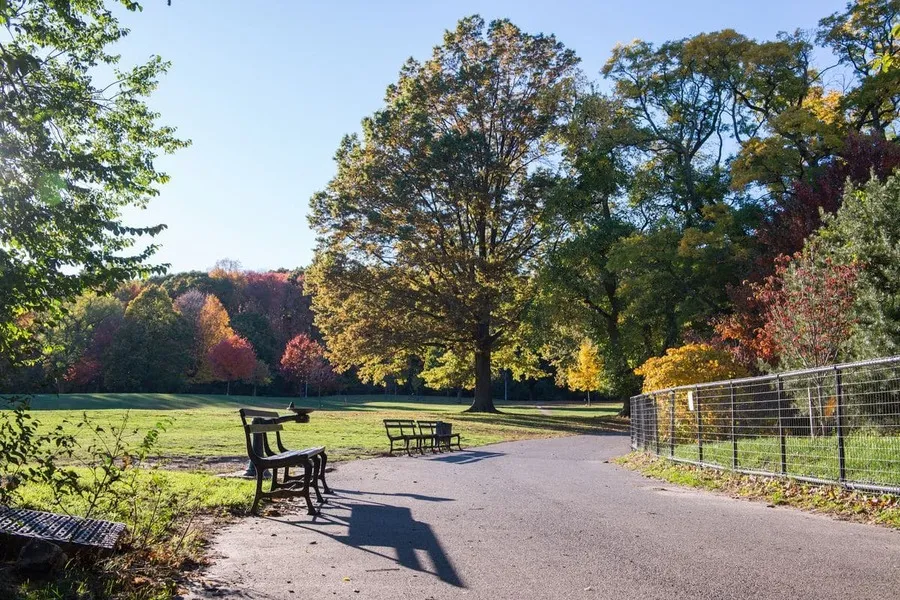 Prospect Park in Brooklyn, NYC